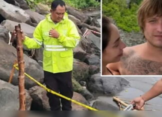 Igor Komarov: Brutalna otmica i ubistvo sina ukrajinskog tajkuna na Baliju 2026 Igor Komarov Brutalna otmica i ubistvo sina ukrajinskog tajkuna na Baliju