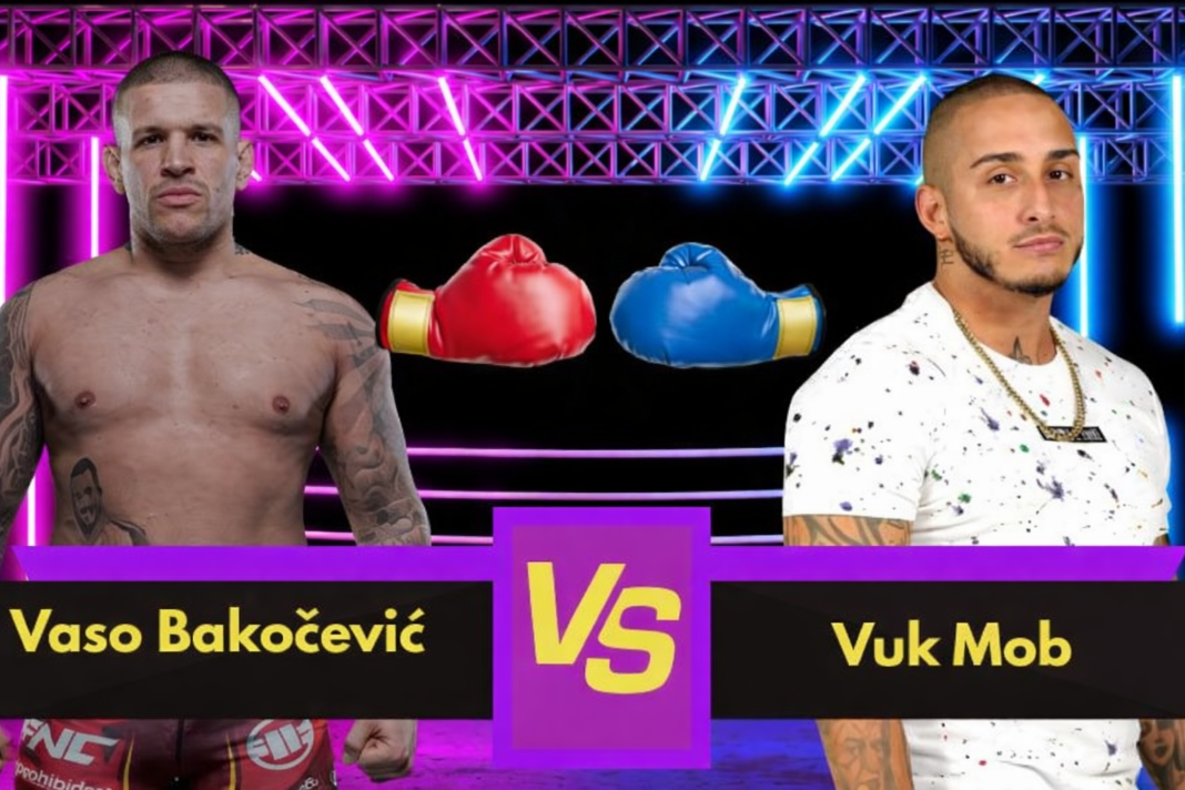 vaso-bakocevic-nokautirao-vuka-moba